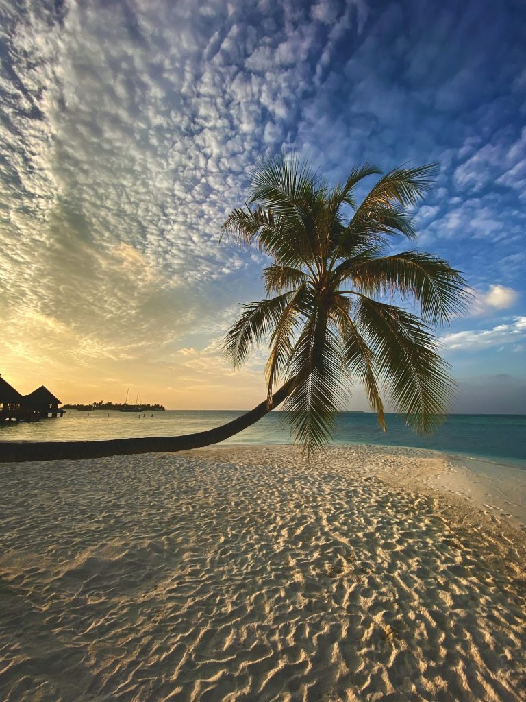Tropical beach leisure travel East Africa